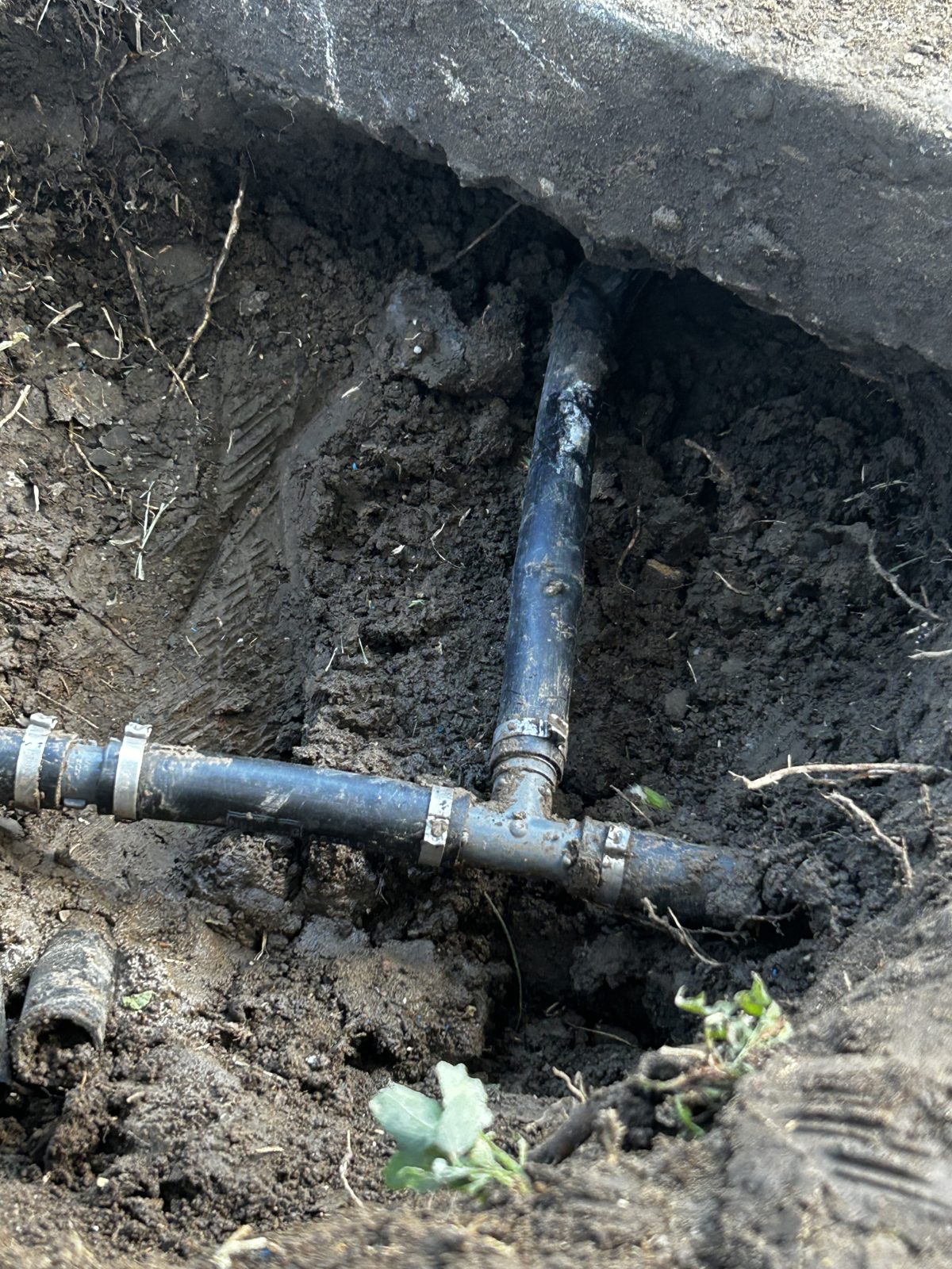 Irrigation Repair — after